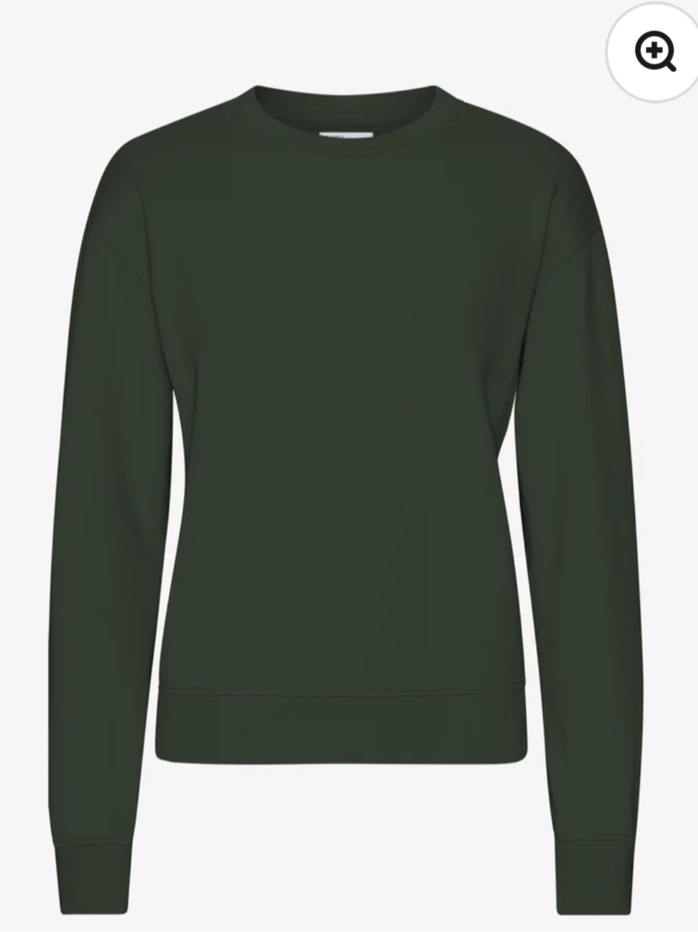 Colorful Standard - Everyday Crewneck Sweater in Deep Forest Green